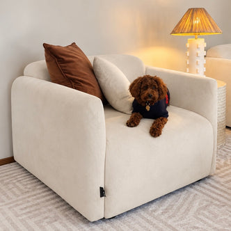 Vestalia Single Seater Velvet Sofa in Cream White alternate product view
