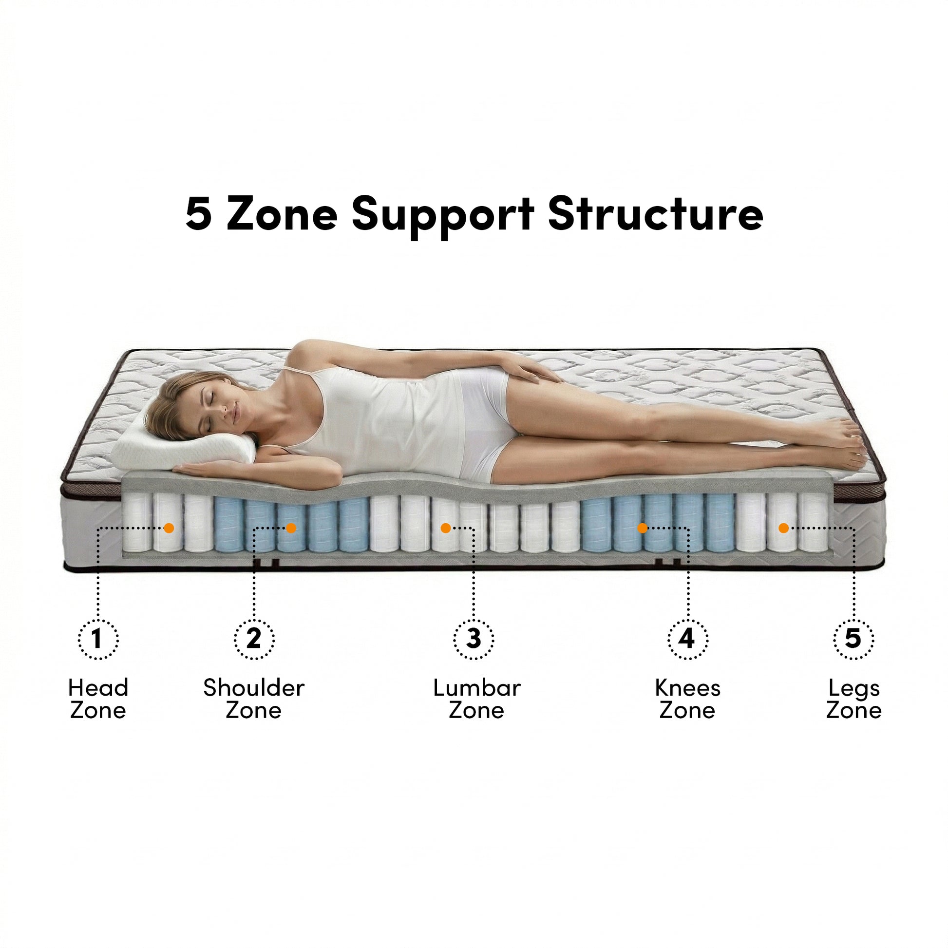 Cross-section of Selene Queen mattress showing 5 Zone Support Structure with head, shoulder, lumbar, knees and legs zones