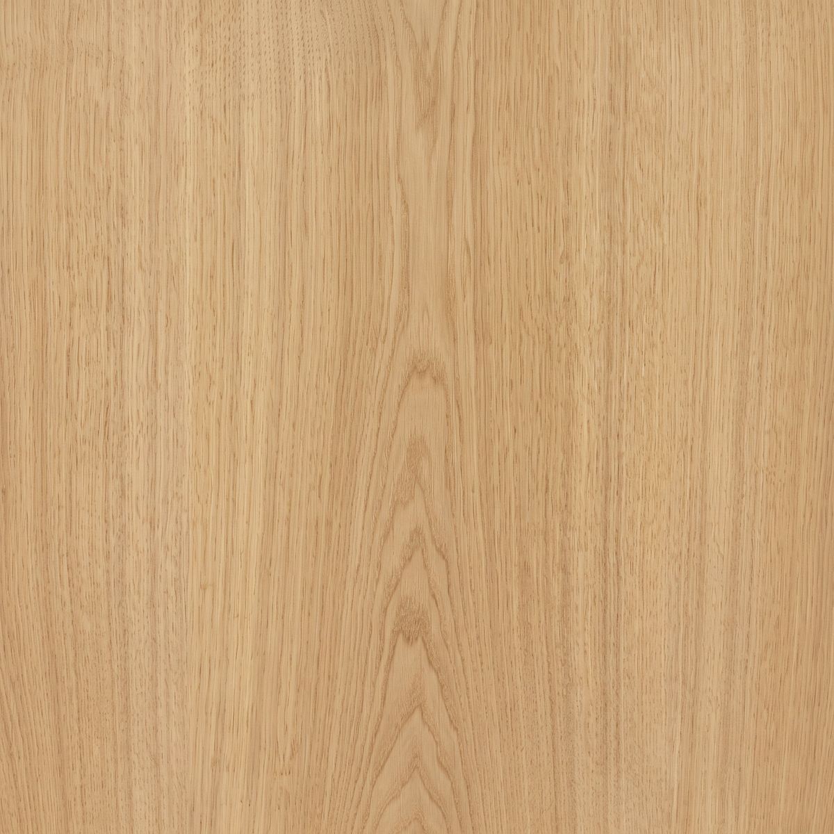 Close-up of light oak wood grain texture