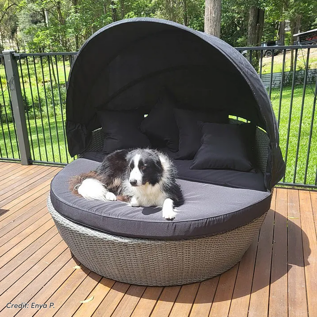 Erith Round Wicker Outdoor Canopy Daybed in Brown & Black with retractable canopy, dark cushions and throw pillows on a