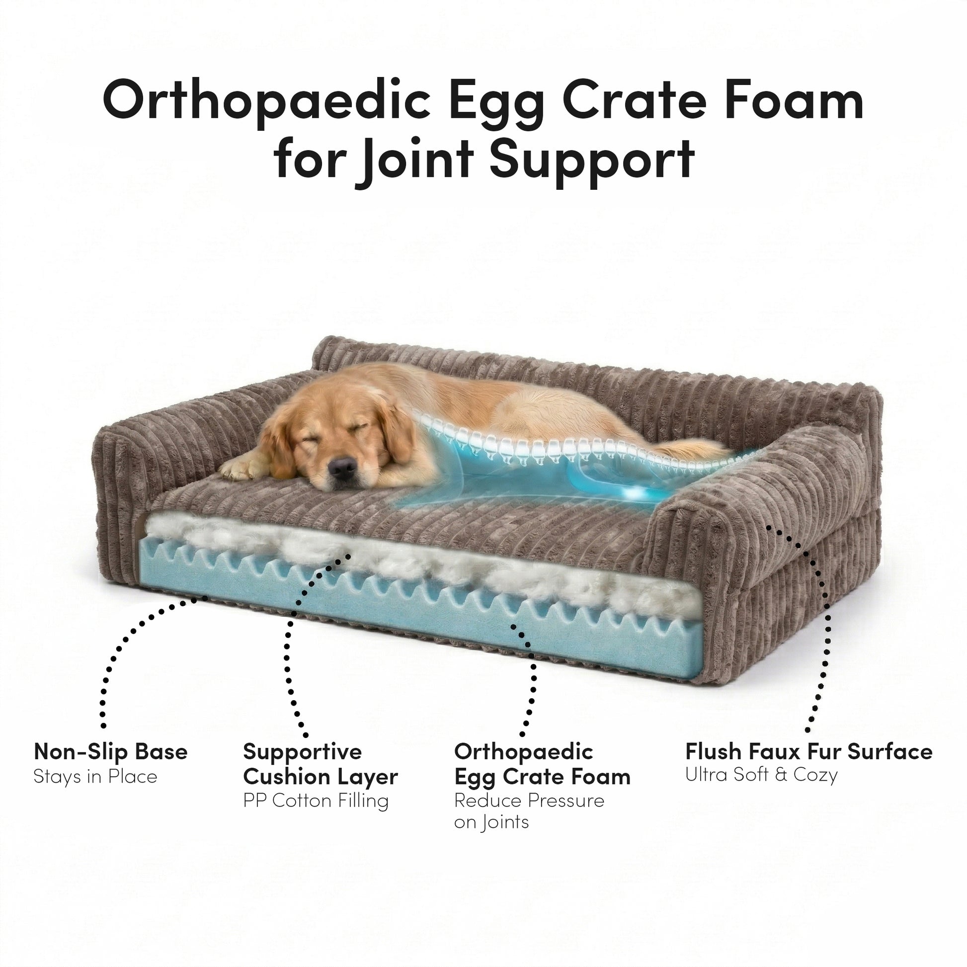 Cross-section of brown corduroy orthopaedic dog bed showing egg crate foam layers and non-slip base with sleeping golden