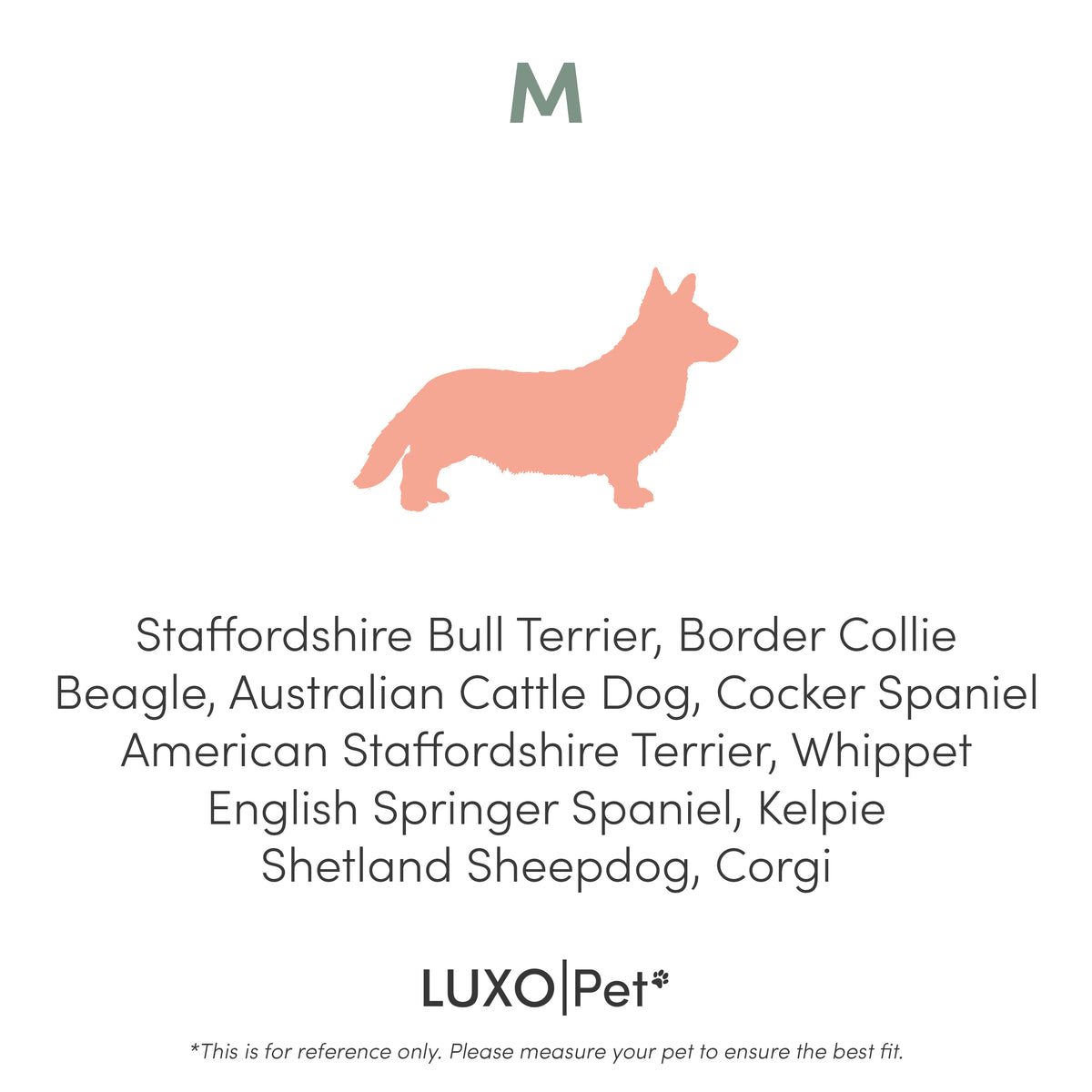 Dax Medium Corduroy Dog Bed – Grey Soft Support, featuring plush filling, raised bolstered edges, and a sleek corduroy finish, designed for comfort and style, perfect for small to medium pets.