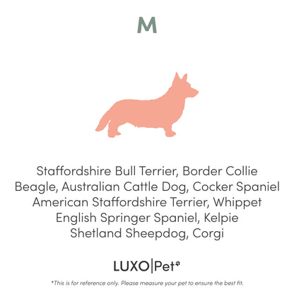 Dax Medium Corduroy Dog Bed – Grey Soft Support, featuring plush filling, raised bolstered edges, and a sleek corduroy finish, designed for comfort and style, perfect for small to medium pets.