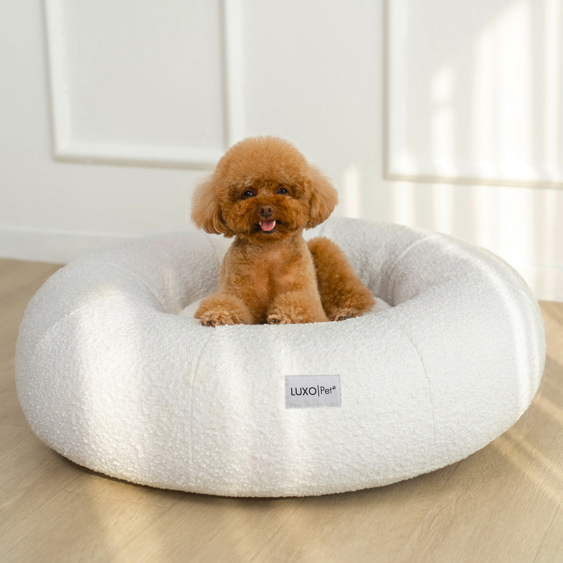 Kyra Medium Boucle Pet Bed – Light Beige Comfort: close-up of a dog lounging in a plush, supportive boucle pet bed with raised bolsters, featuring a visible white label with black text.