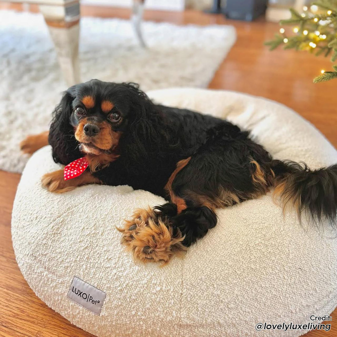 Kyra Medium Boucle Pet Bed – Light Beige Comfort, featuring a dog lounging comfortably on a plush, ergonomically designed bed with raised bolsters, in a stylish and supportive setting.