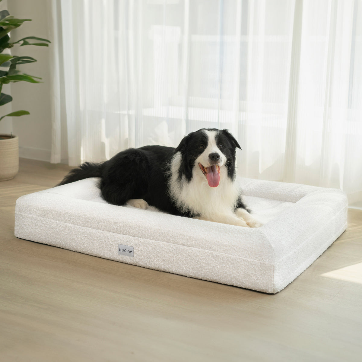 Tyro Luxe Large Orthopedic Pet Bed – Light Beige with a dog comfortably lying on it, showcasing the bed's soft boucle fabric and supportive dual-layer memory foam design for large pets.