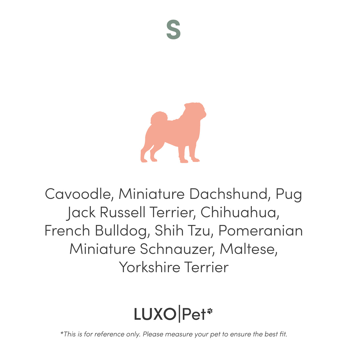 Tyro Luxe Small Orthopedic Pet Bed features a dual-layer memory foam core and boucle cover. Ideal for small pets, it has an anti-slip base, ensuring comfort and stability.