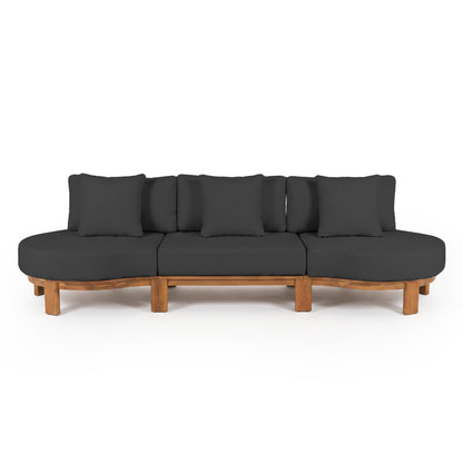 Modern sofa with dark gray cushions and natural wood base on white background