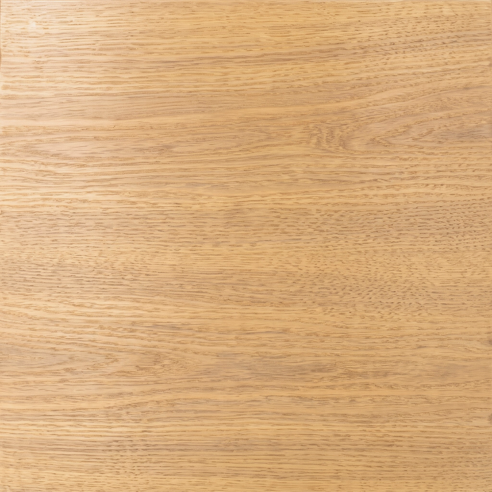 Close-up of light wood grain texture