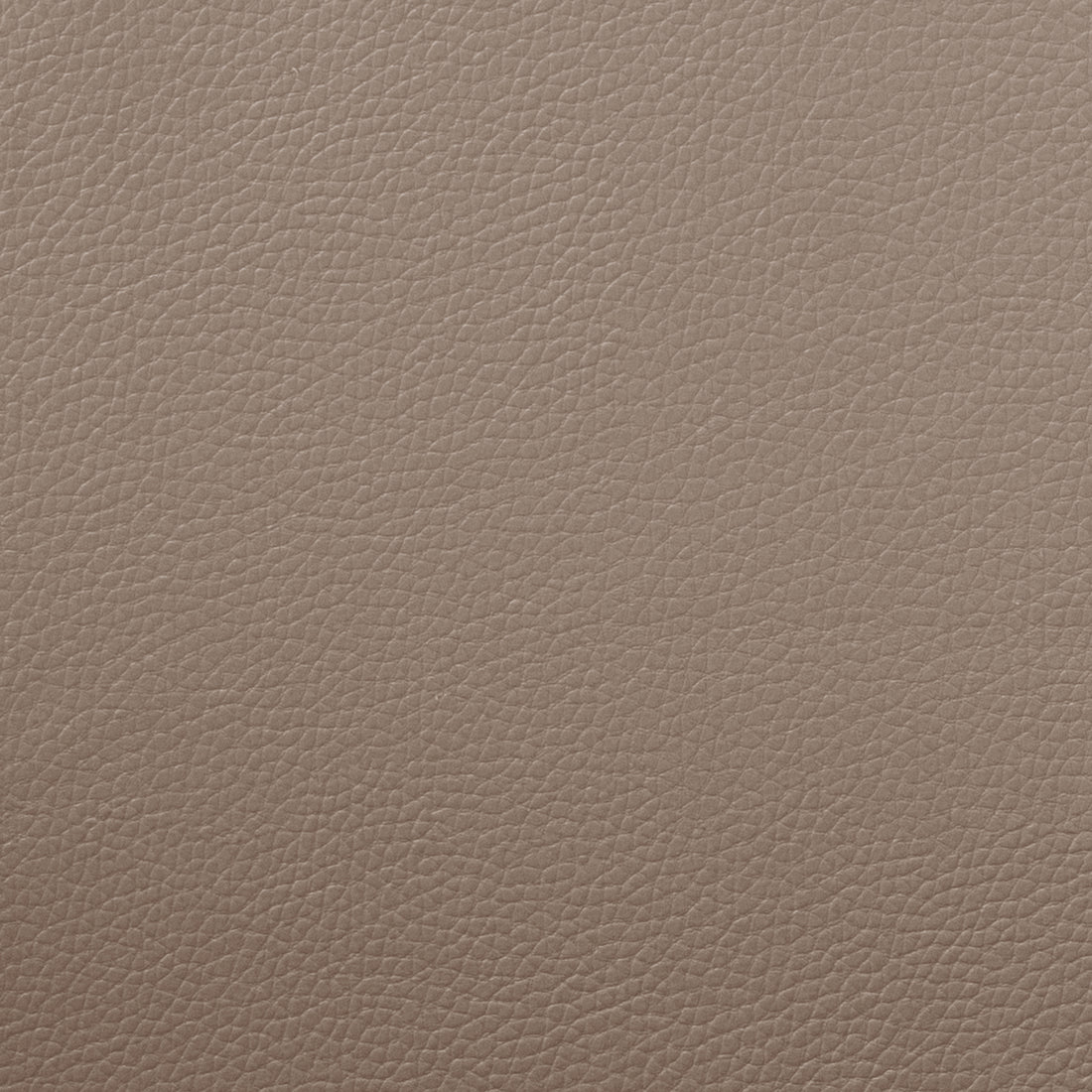 Close-up of textured leather-like upholstery material